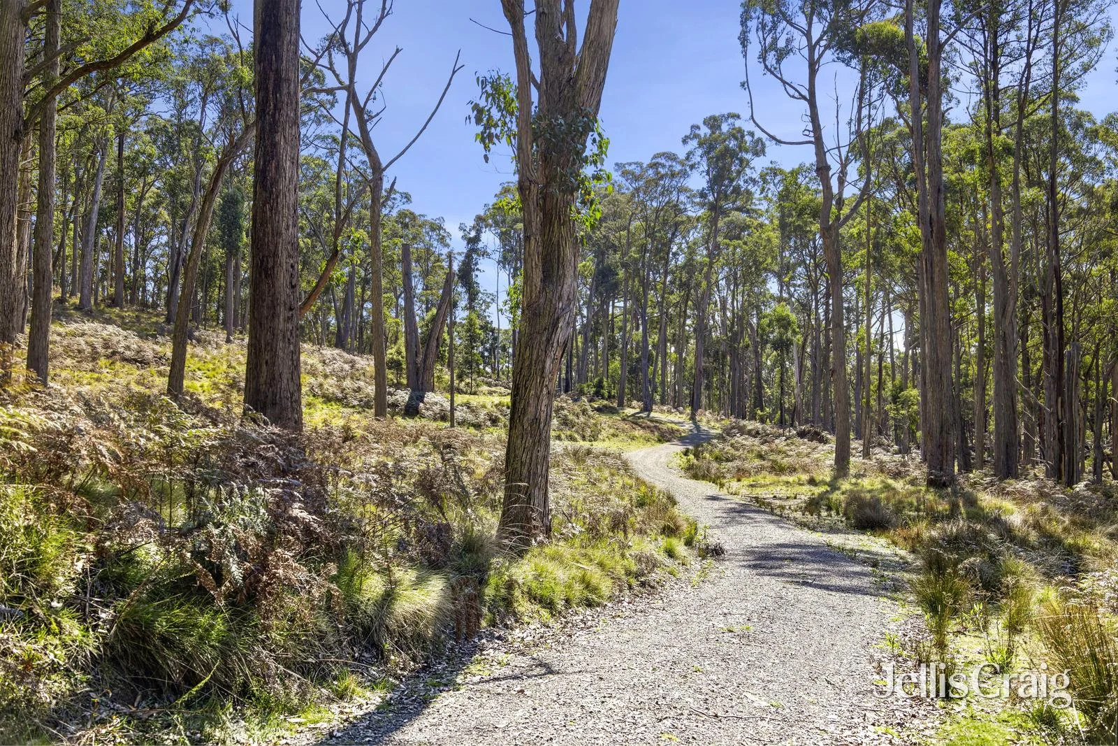 Additional image 6 of 100 Fern Road, Little Hampton VIC 3458