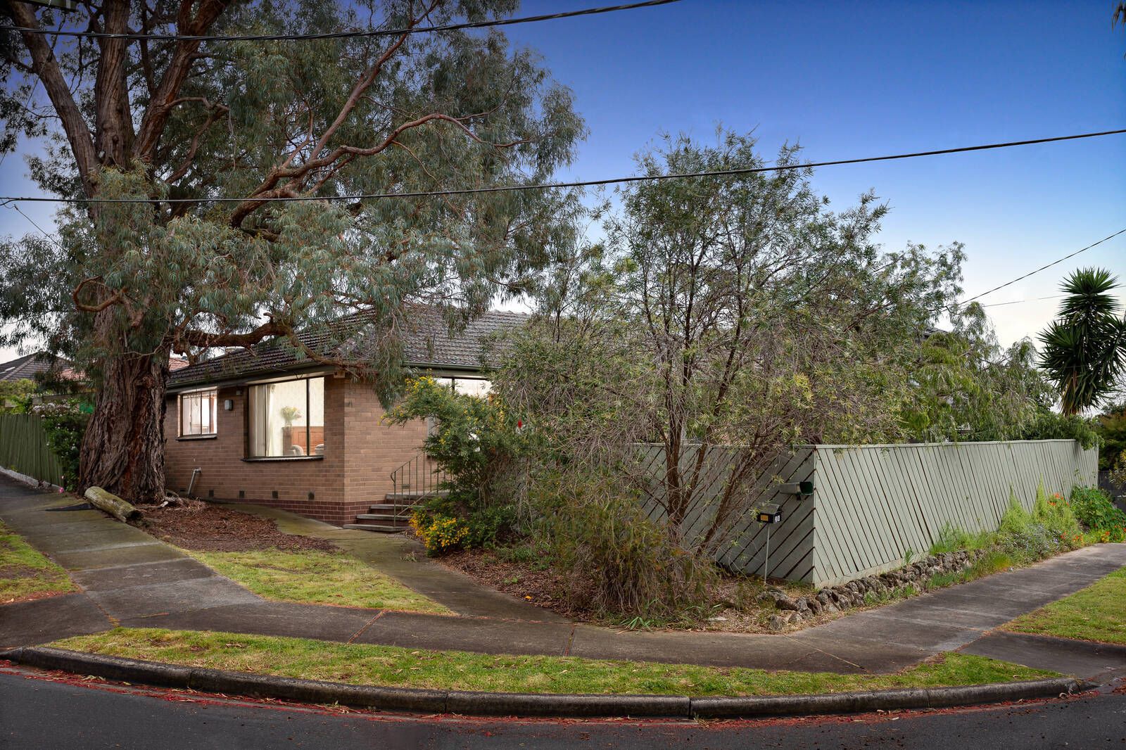 35 Greenwood Street, Burwood VIC 3125, Image 1