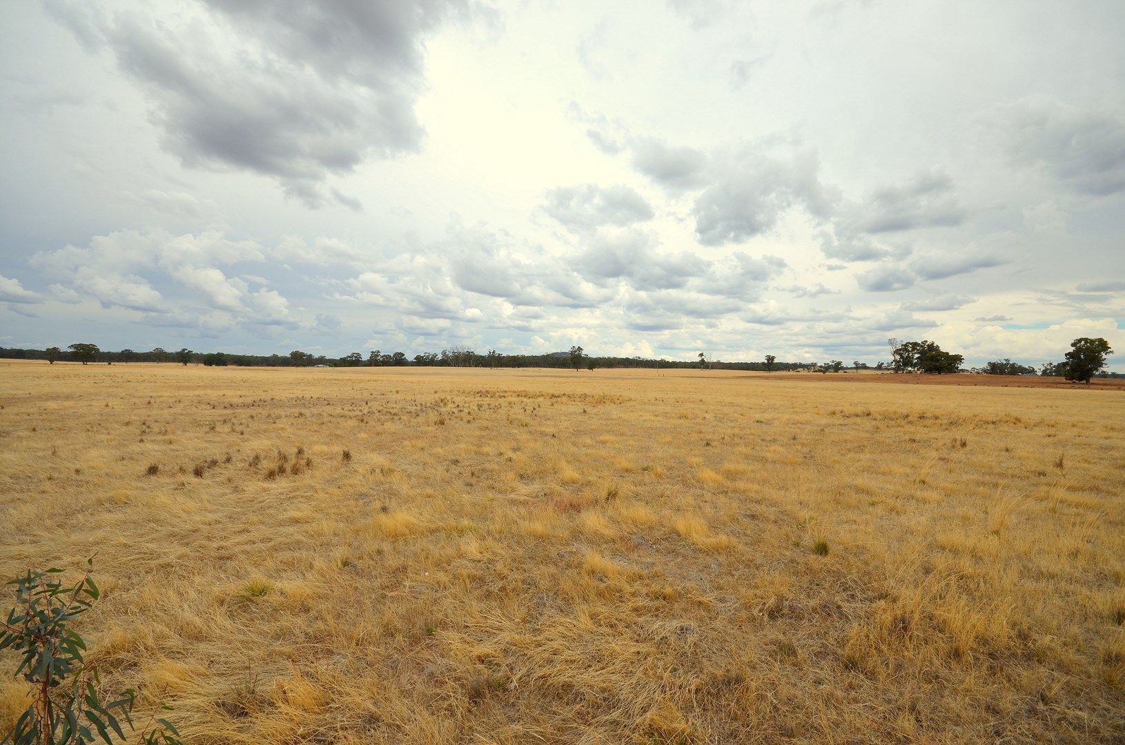 CA 3B Bealiba - Wehla Road, Cochranes Creek VIC 3475, Image 0