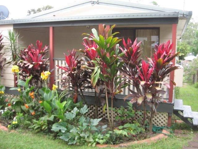 29 Paget Street, Mooloolah Valley QLD 4553
