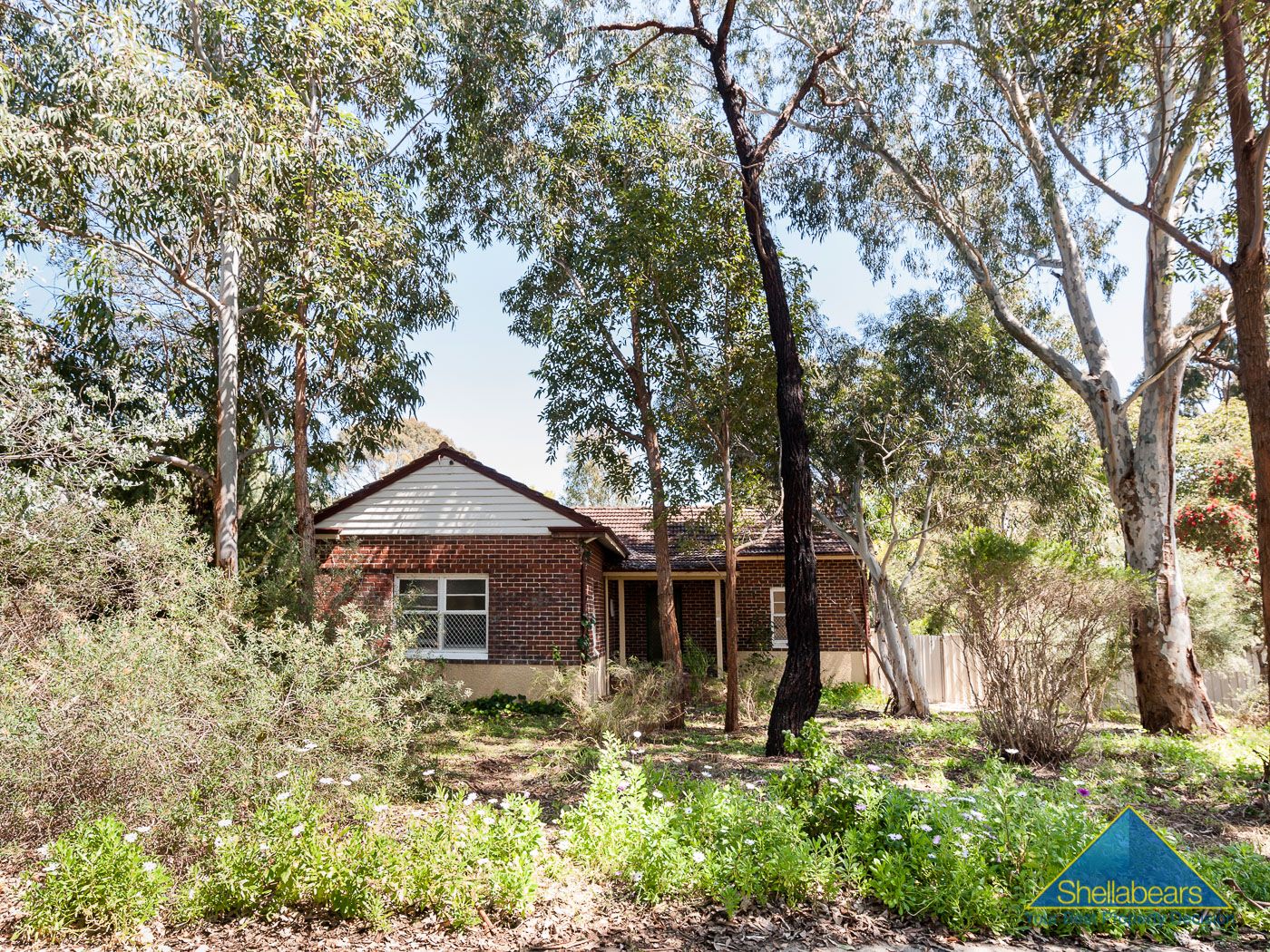 19 Cunningham Terrace, Daglish WA 6008, Image 0