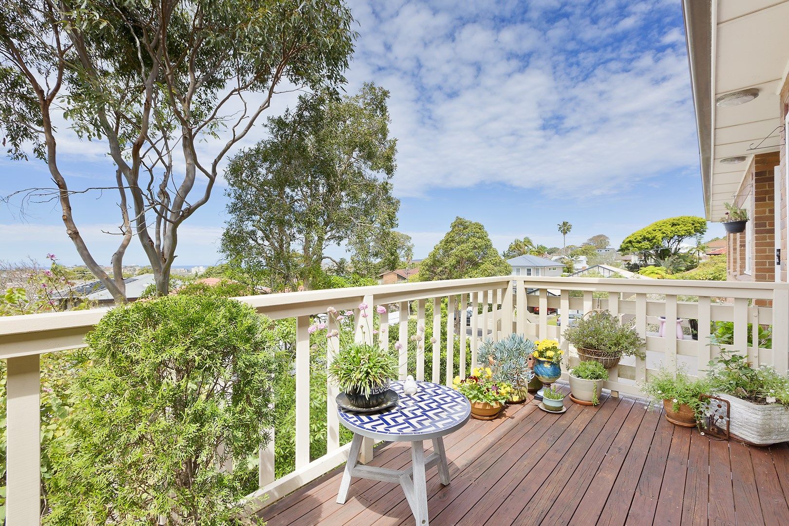 4/169 Wyndora Ave, Freshwater NSW 2096, Image 0