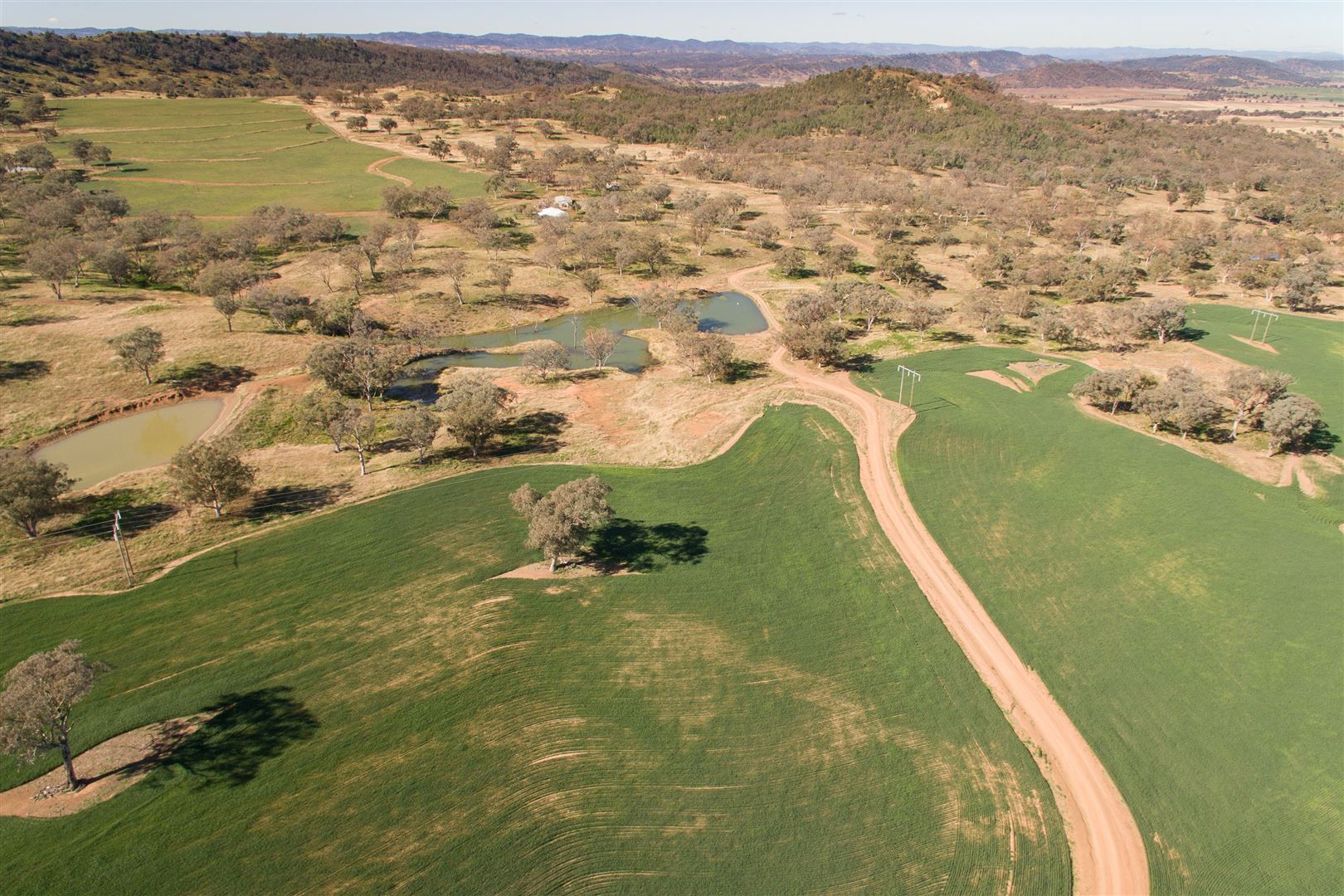 "Pepper Trees" Oakhampton Road, Barraba NSW 2347, Image 1