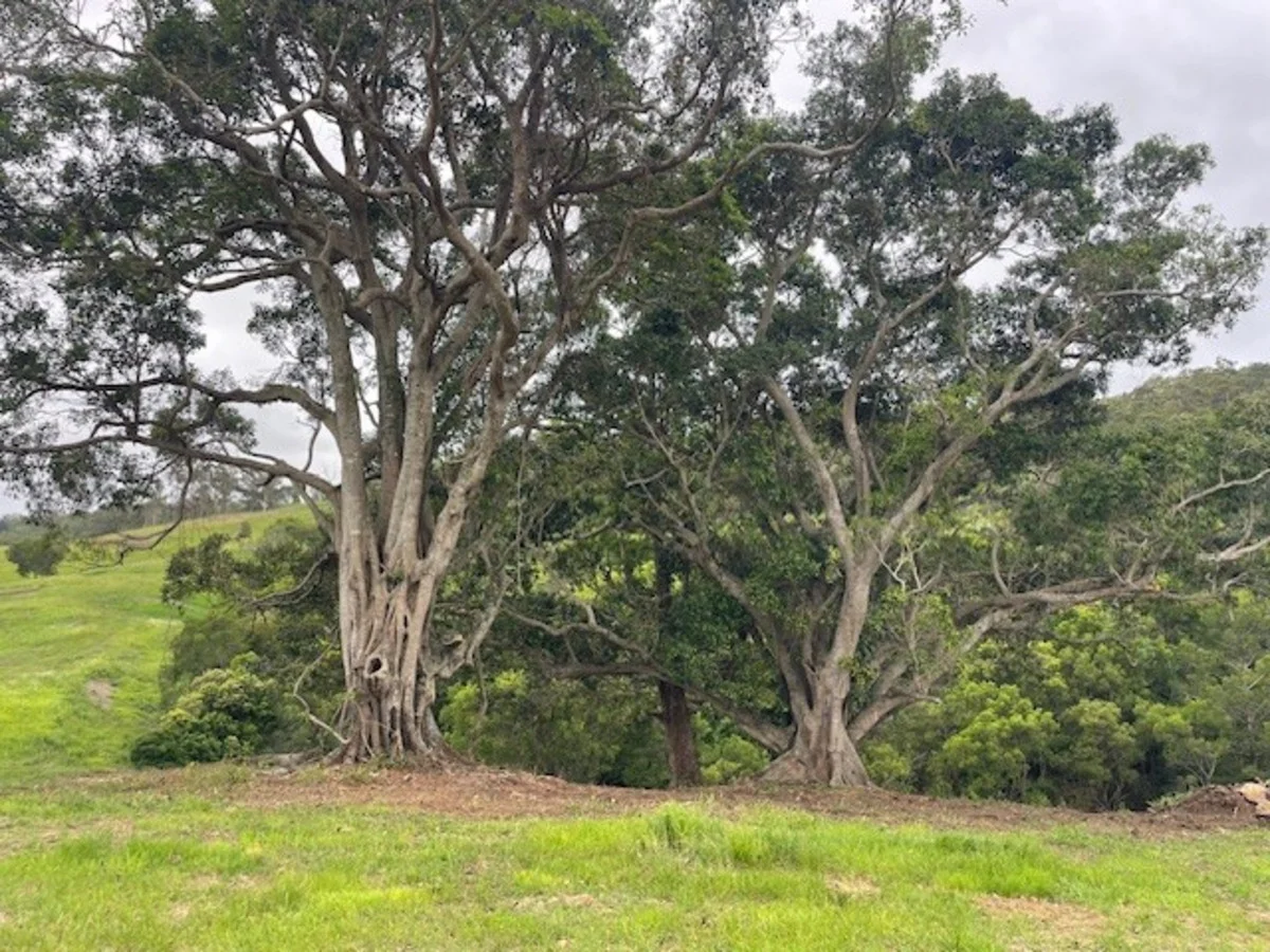 Additional image 6 of Ocean View QLD 4521