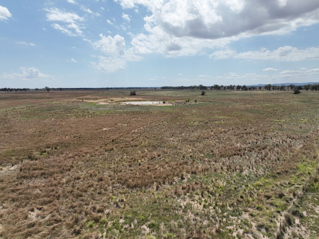 'Tergene South' 849 Tomingley West Road, Tomingley NSW 2869, Image 2
