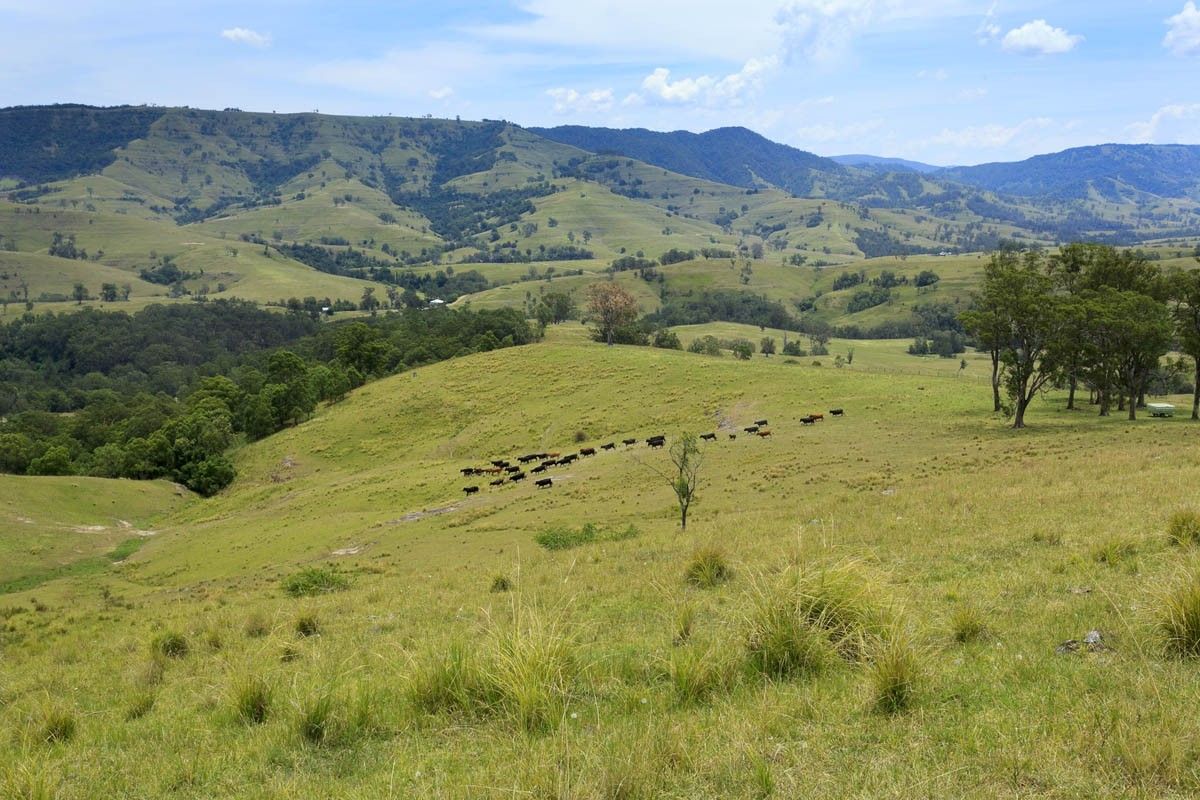 2604 Paterson River Road, Gresford NSW 2311, Image 0