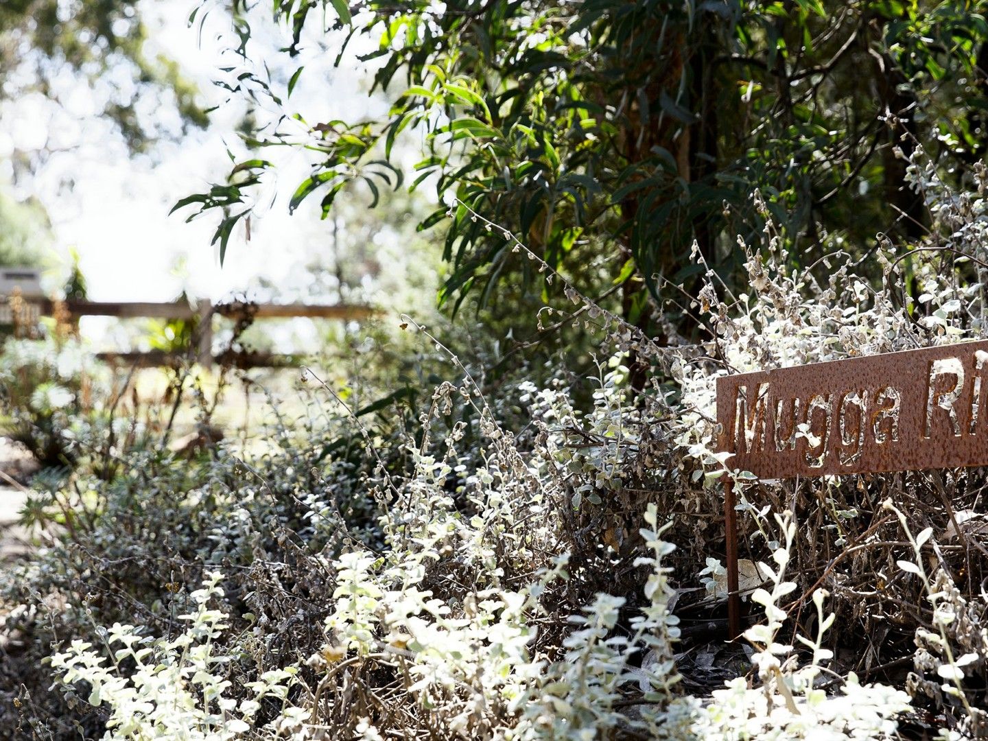 3 bedrooms Rural in 1811 Tugalong Road CANYONLEIGH NSW, 2577