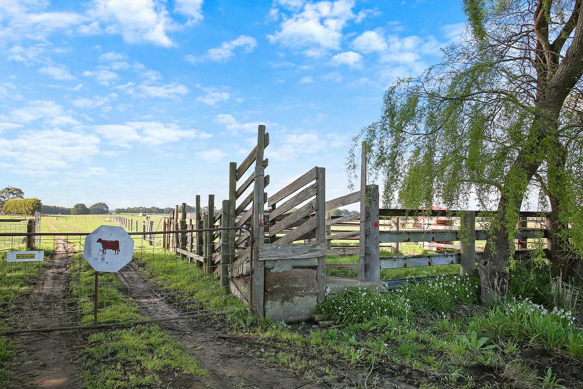 Camperdown Cobden Road, Cobden VIC 3266, Image 1