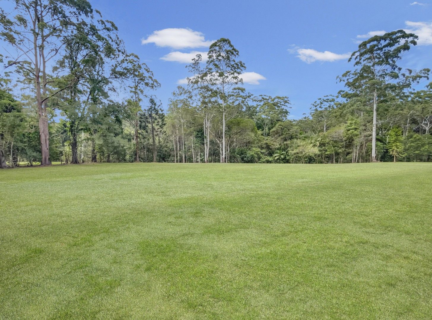 196 Neill Road, Mooloolah Valley QLD 4553 Vacant Land for Sale