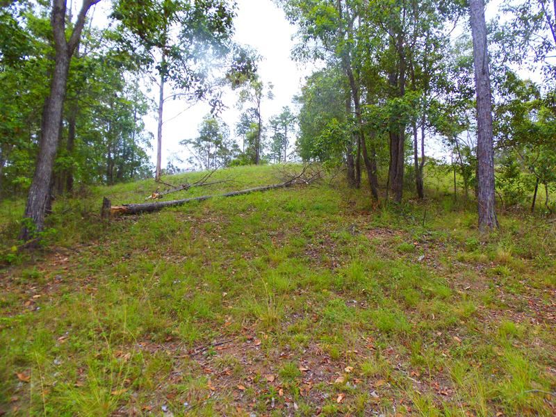 Lot 239 Arborsix Road, Glenwood QLD 4570, Image 2