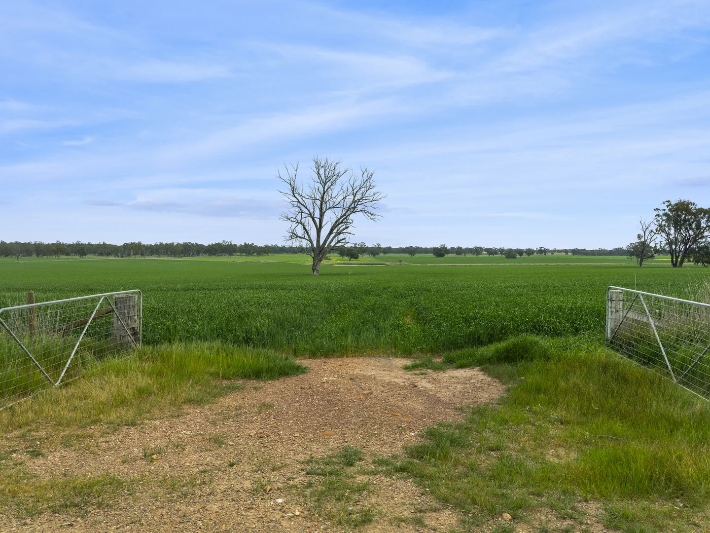 Image 17