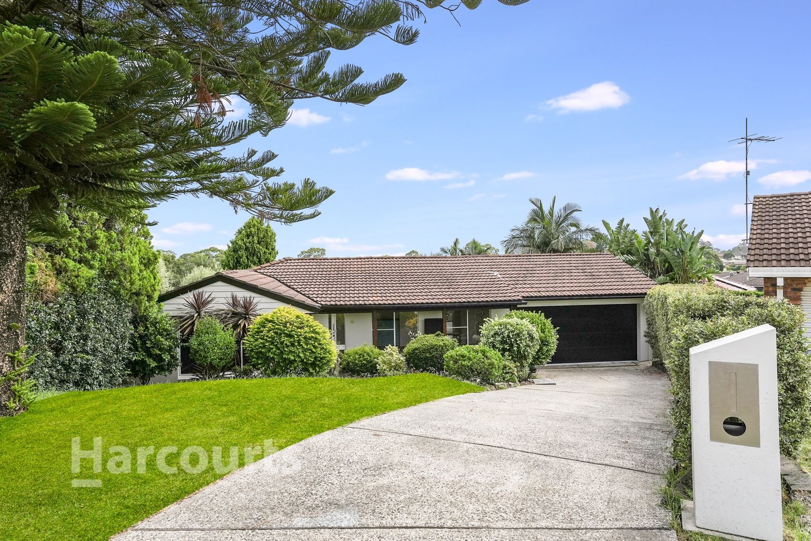 6 Wilkins Place, Leumeah NSW 2560, Image 1