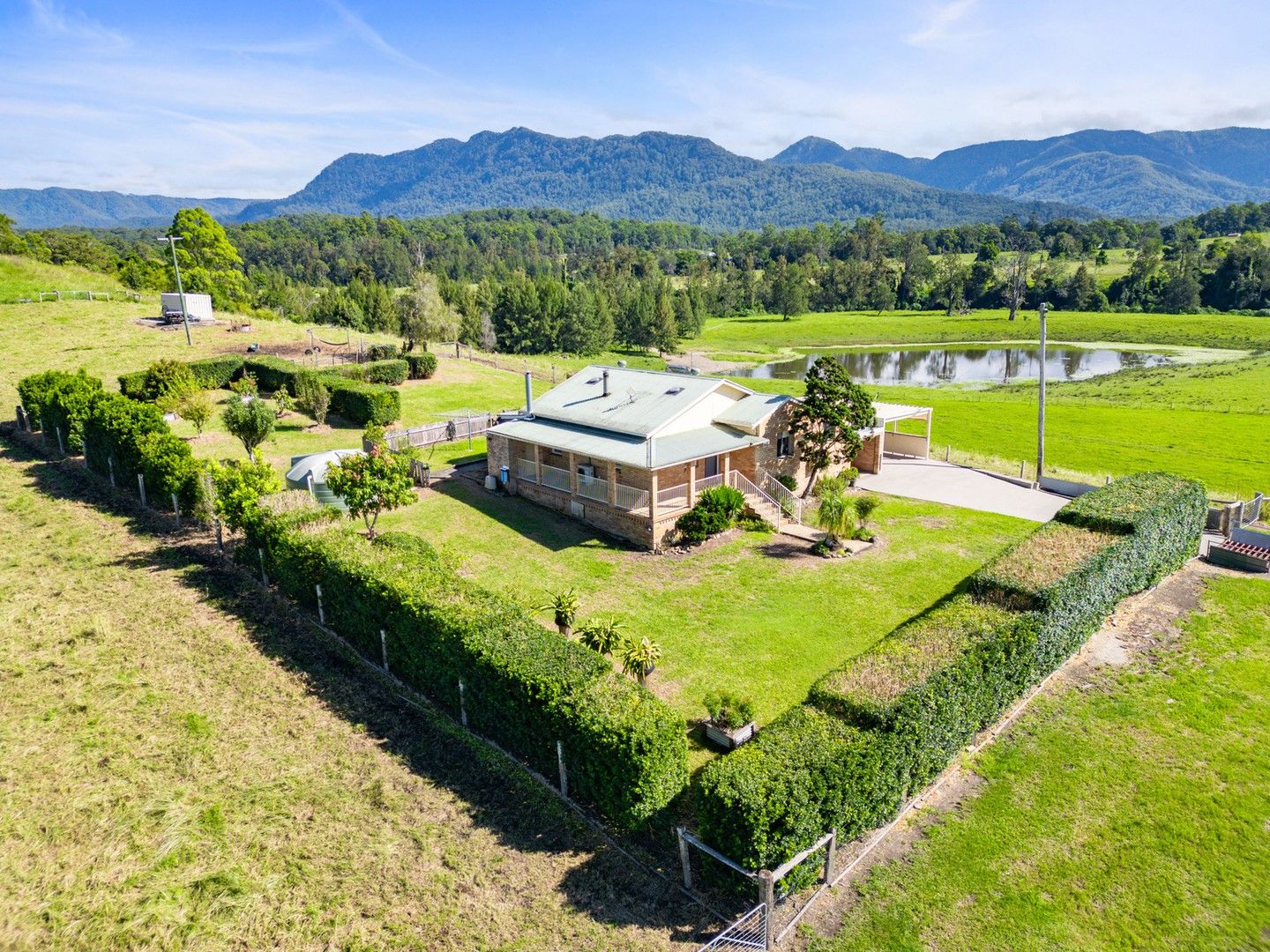 1646 Waterfall Way, Bellingen NSW 2454 House for Sale Domain