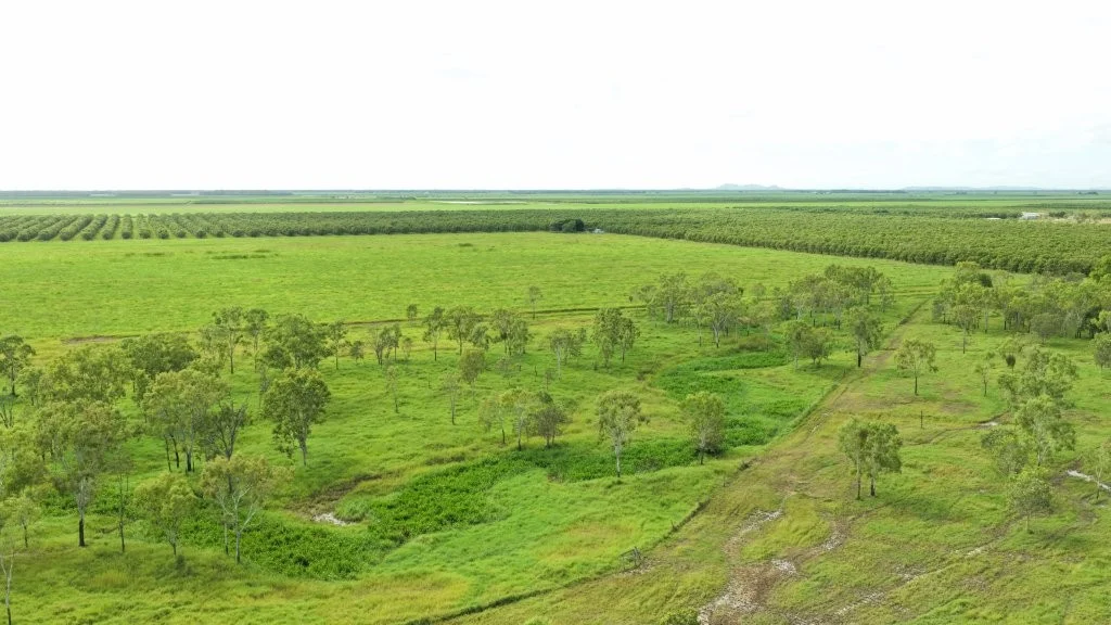 Additional image 25 of 3 Comiskey Road, Giru QLD 4809