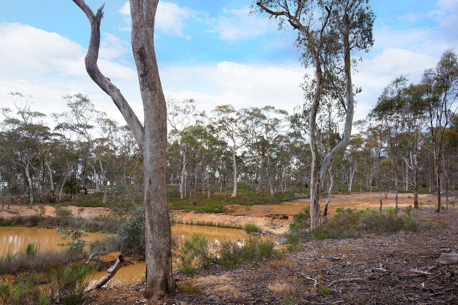 121 Pound Lane, Newstead VIC 3462, Image 2