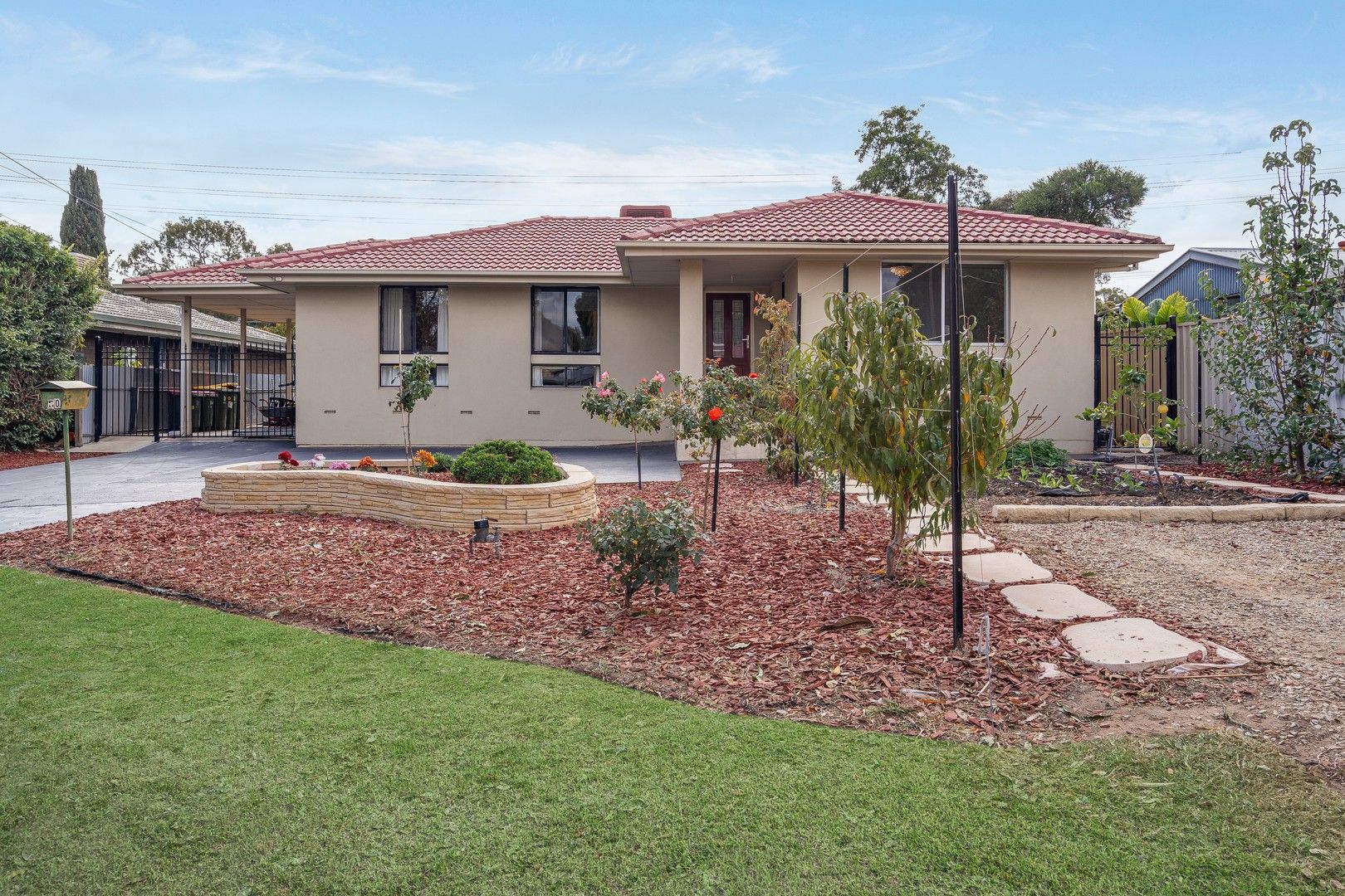 50 Tasman Avenue, Gilles Plains SA 5086, Image 0