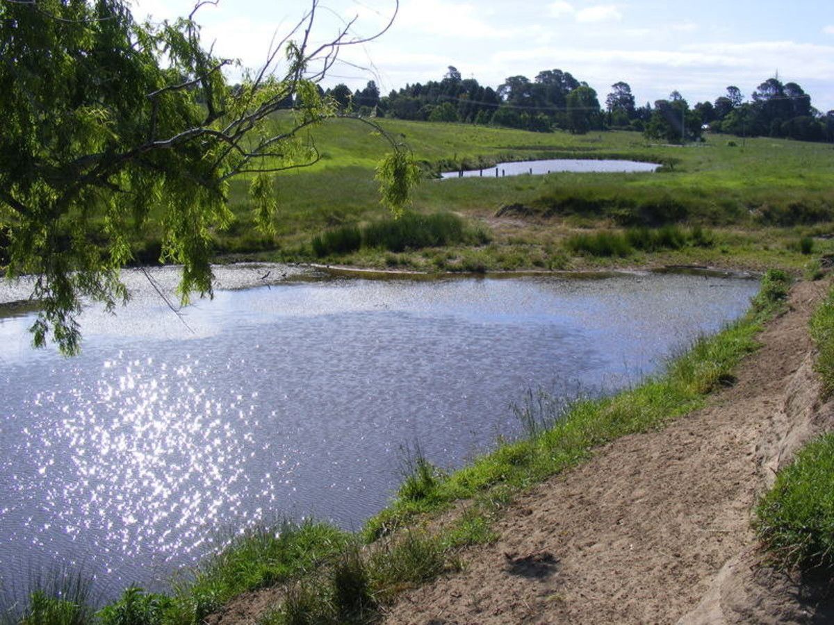 Lot 101 Bega Tathra Road, Jellat Jellat NSW 2550, Image 1