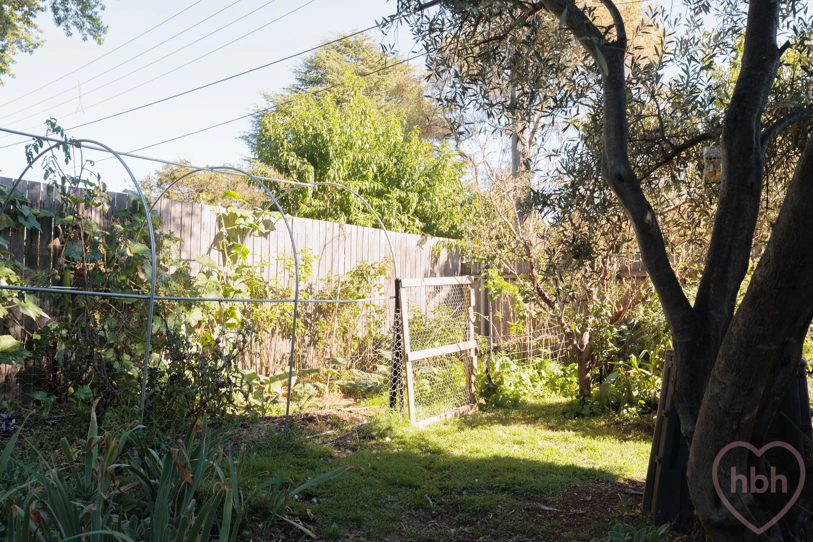 Additional image 25 of 6 Dobbie Place, Watson ACT 2602