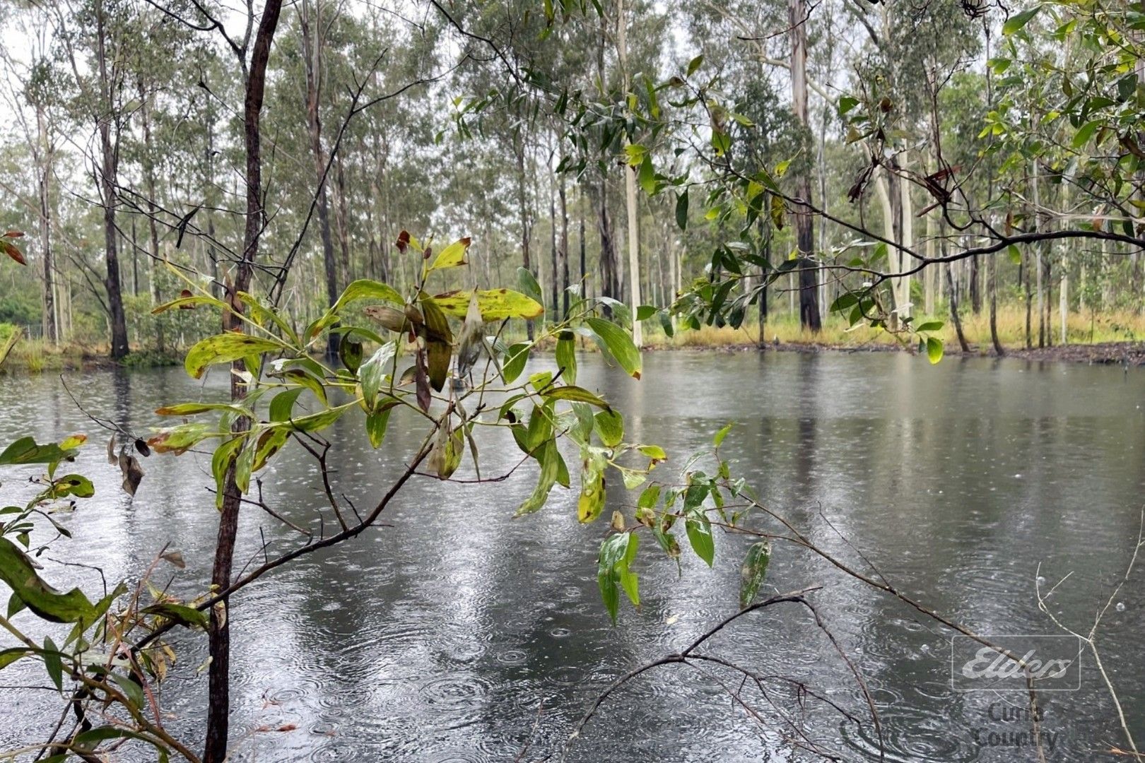 Vacant land in Lot 578 Wards Road, GLENWOOD QLD, 4570