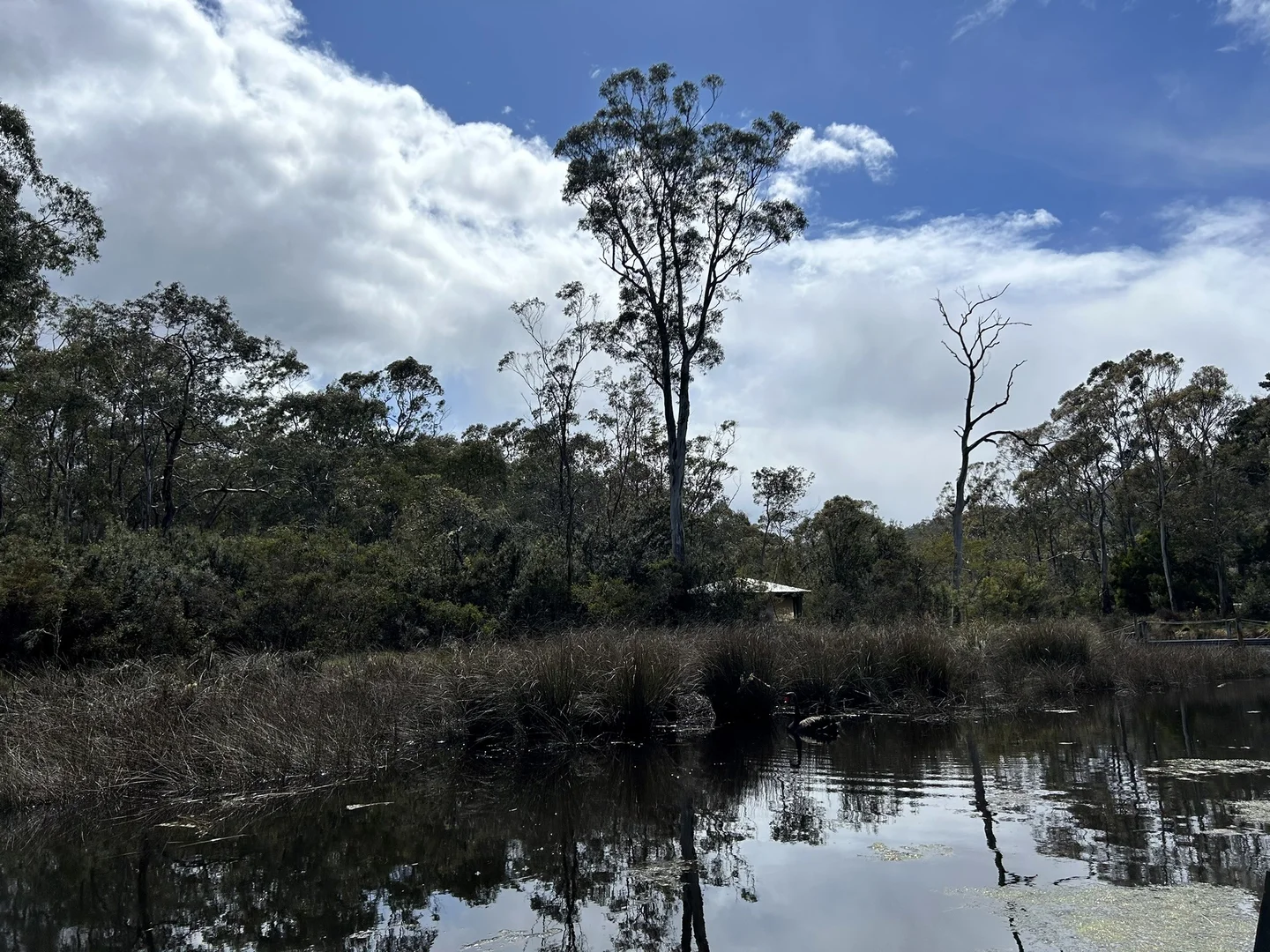 Additional image 17 of 230 Randalls Bay Road, Randalls Bay TAS 7112