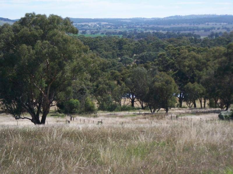 Lot2,44 Barana Road, Cootamundra NSW 2590, Image 0