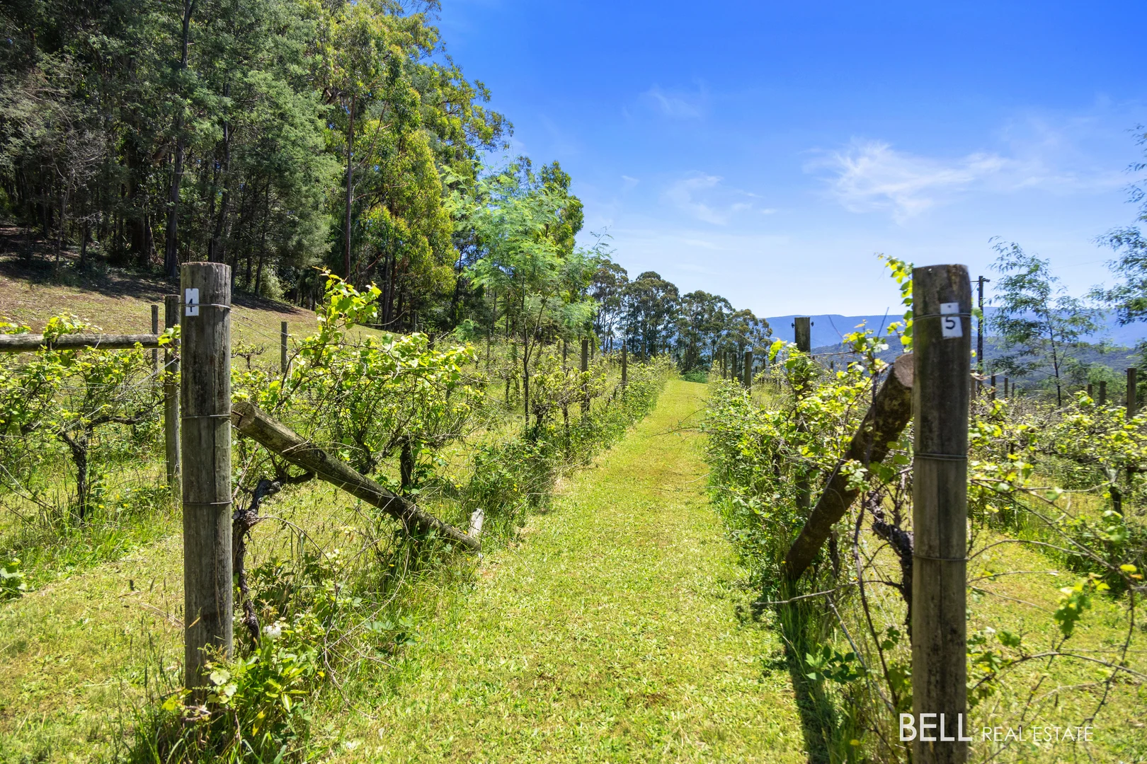 Additional image 8 of 795 Gembrook-Launching Place Road, Hoddles Creek VIC 3139