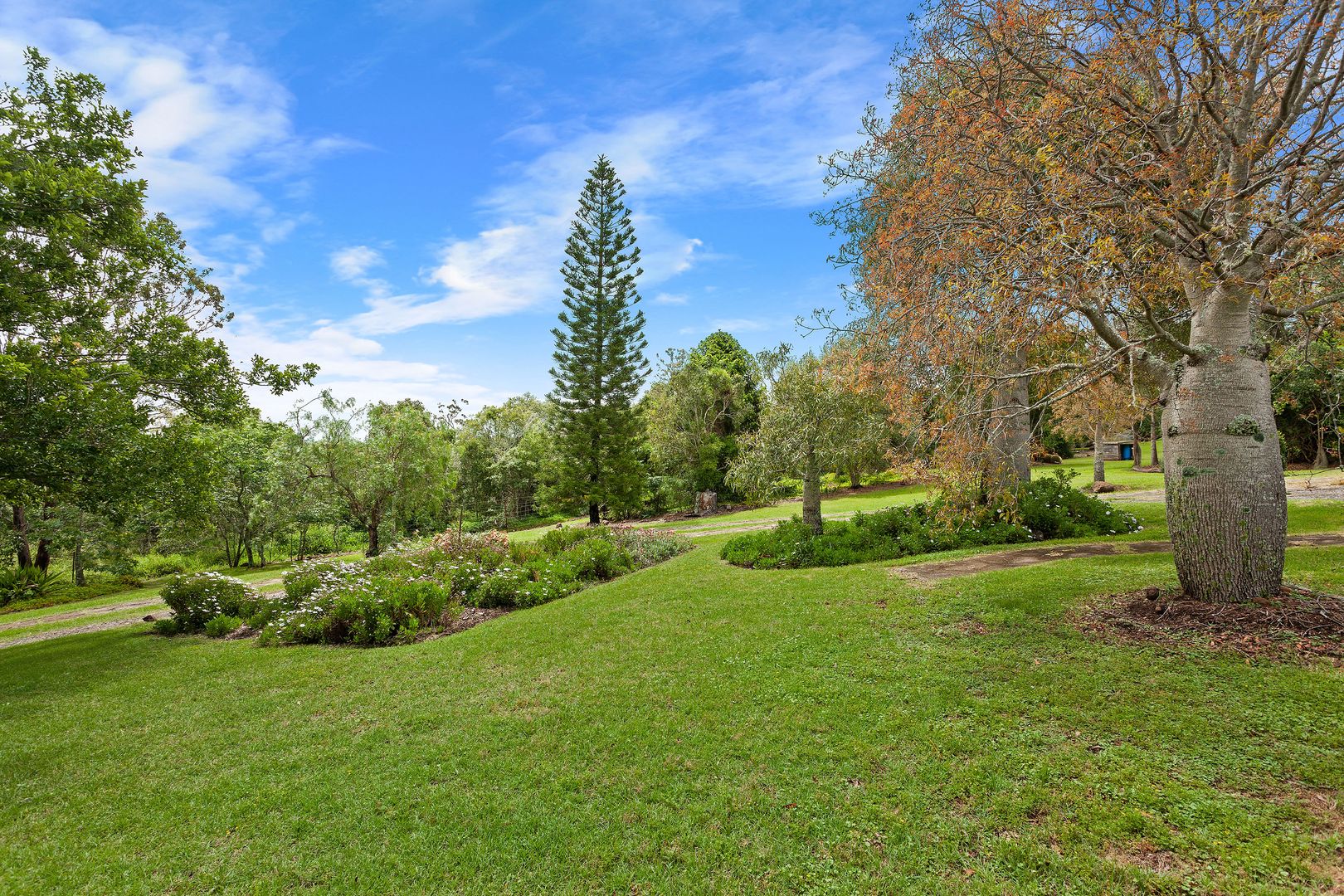 62 Moseley Road, Glencoe QLD 4352, Image 2