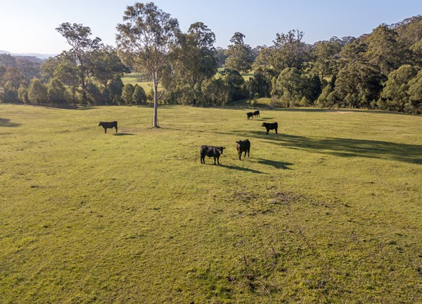 92 Punchs Road, Glen Martin NSW 2321