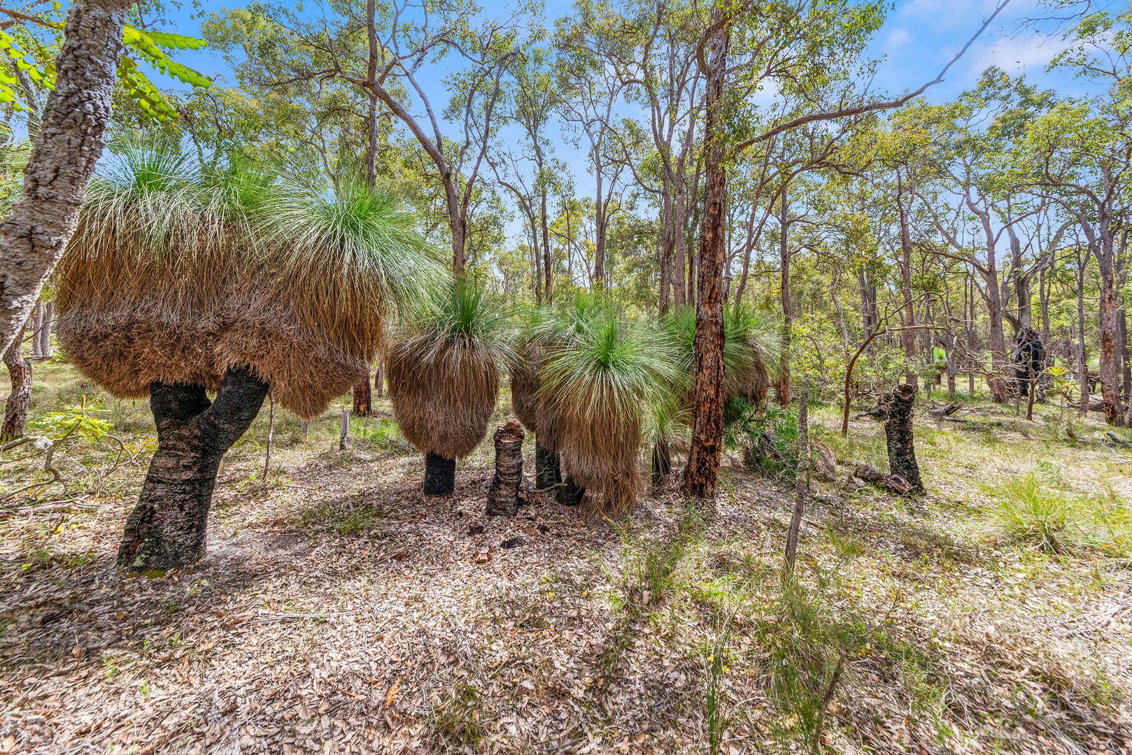 Lot 2 Westbourne Road, Boyup Brook WA 6244, Image 1