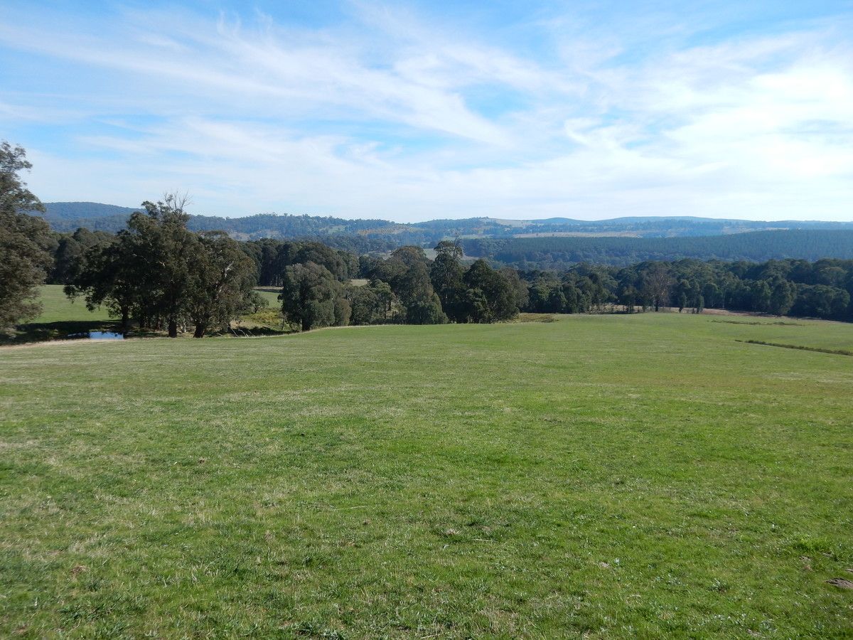 Christmas Hill - 120 Bago Forest Road, Tumbarumba NSW 2653, Image 1