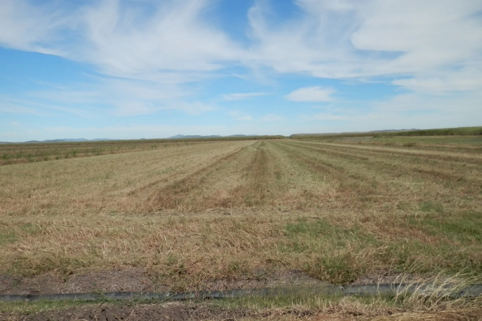 Image 14