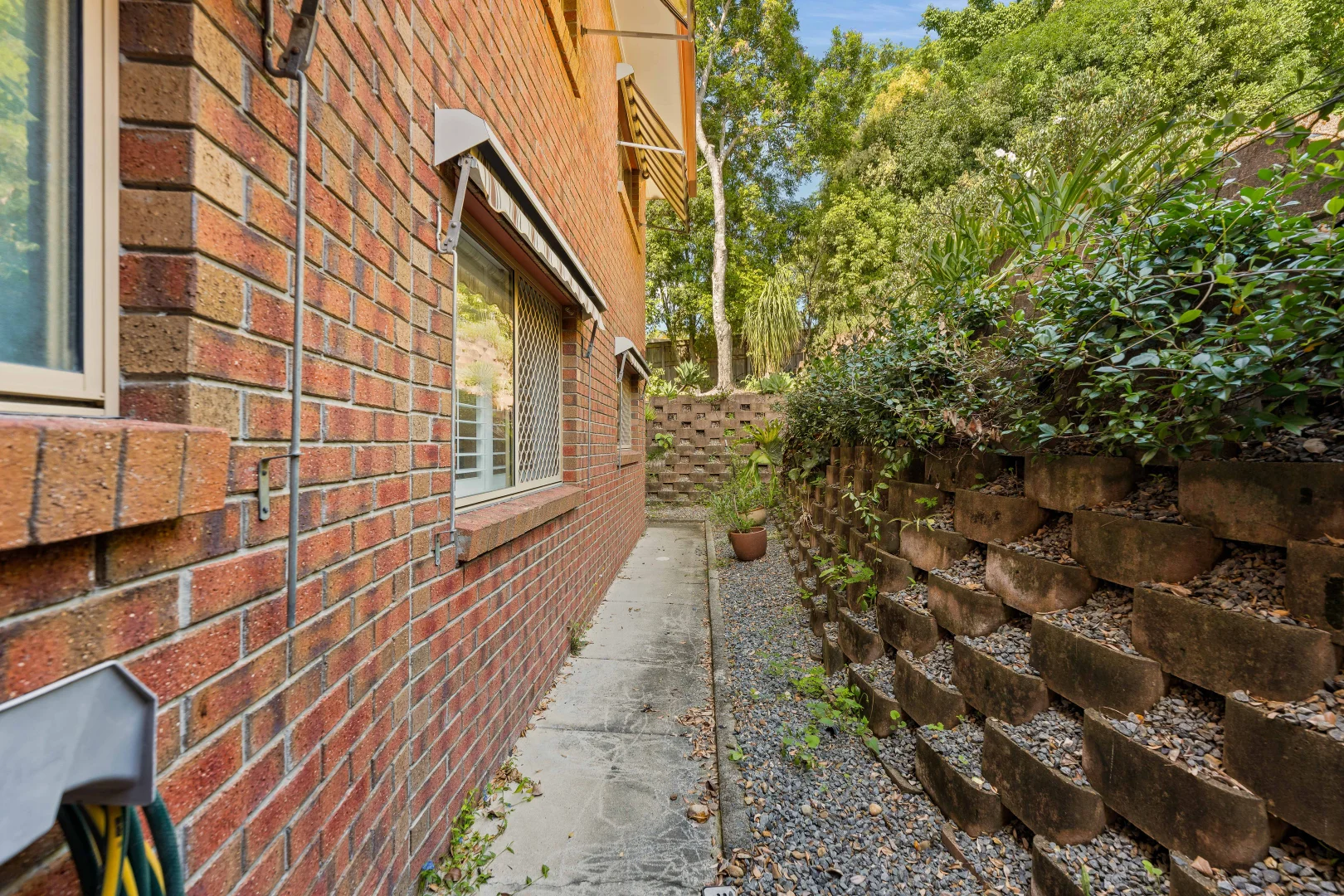 Image 15