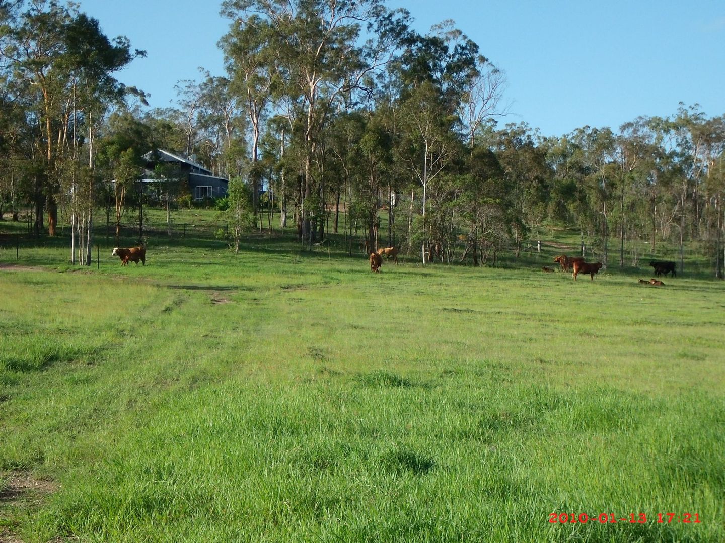 Delan QLD 4671, Image 1