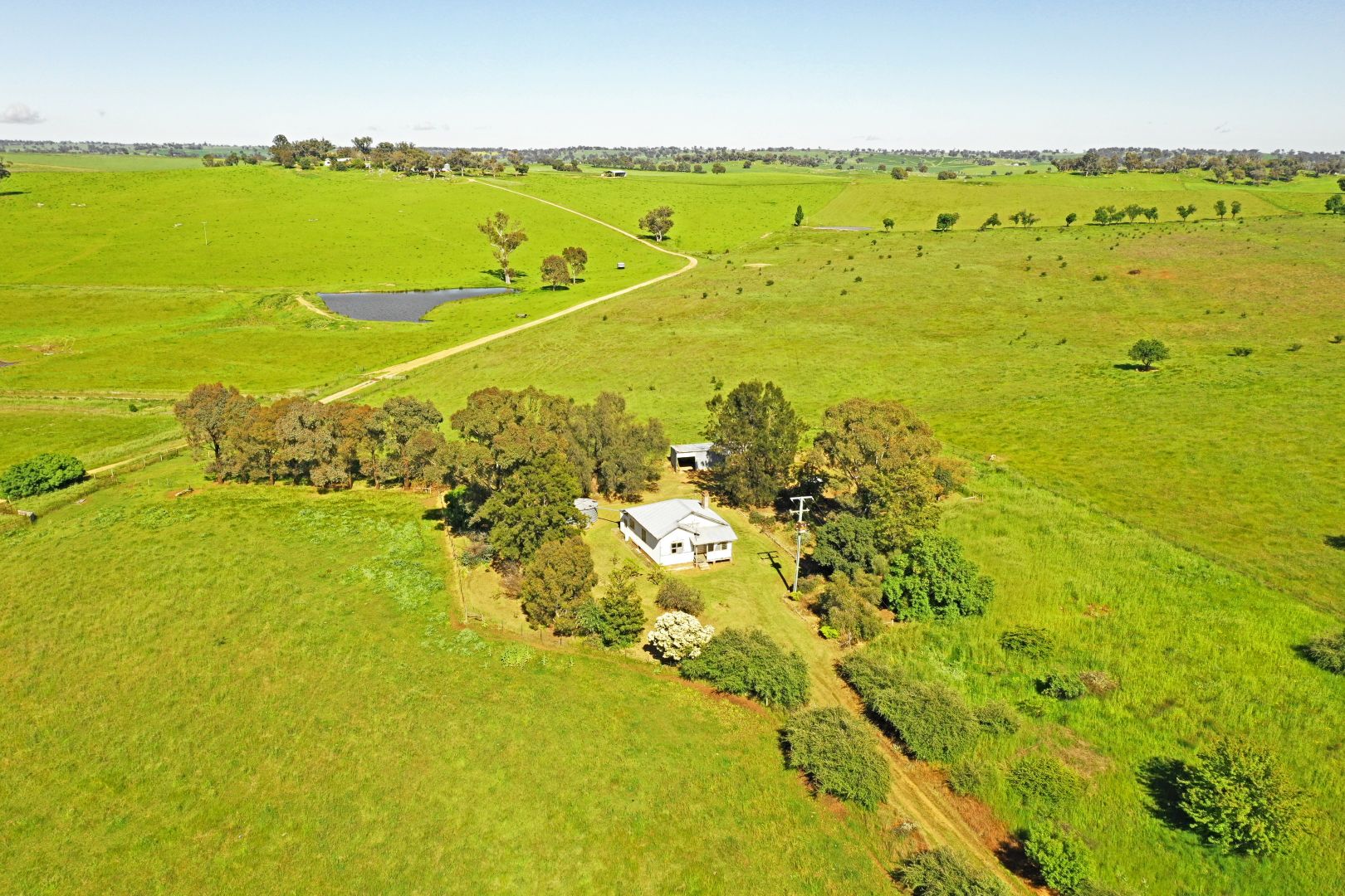 435 Maimuru Ss Road, Young NSW 2594, Image 1