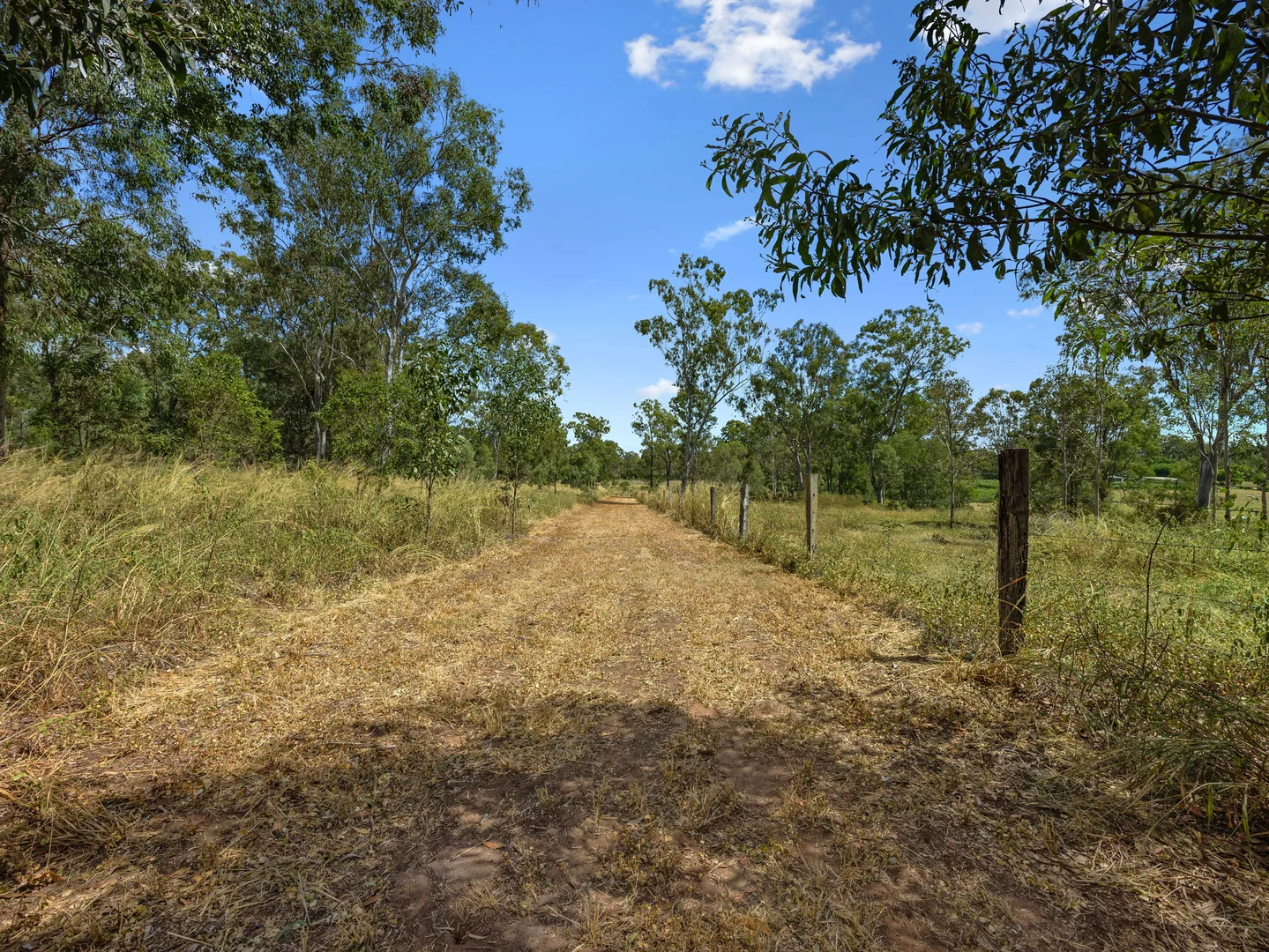 Image 30