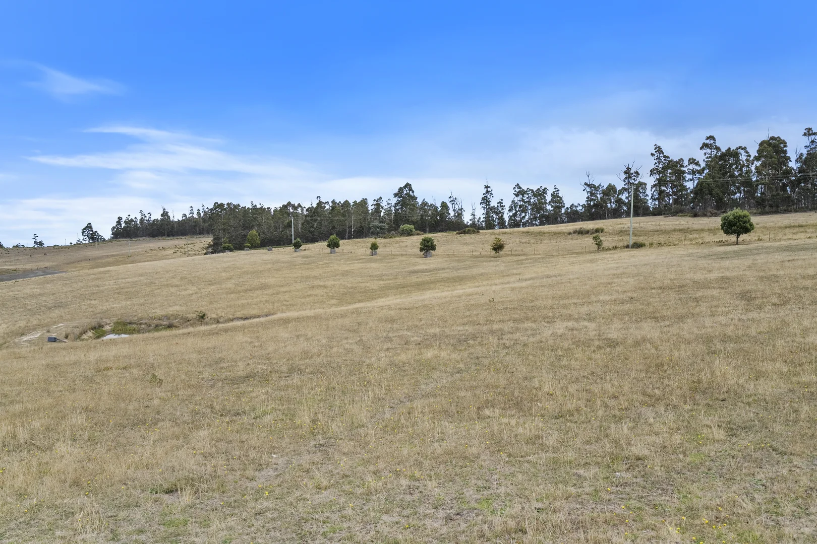 Additional image 45 of 94 Blue Hills Road, Copping TAS 7174