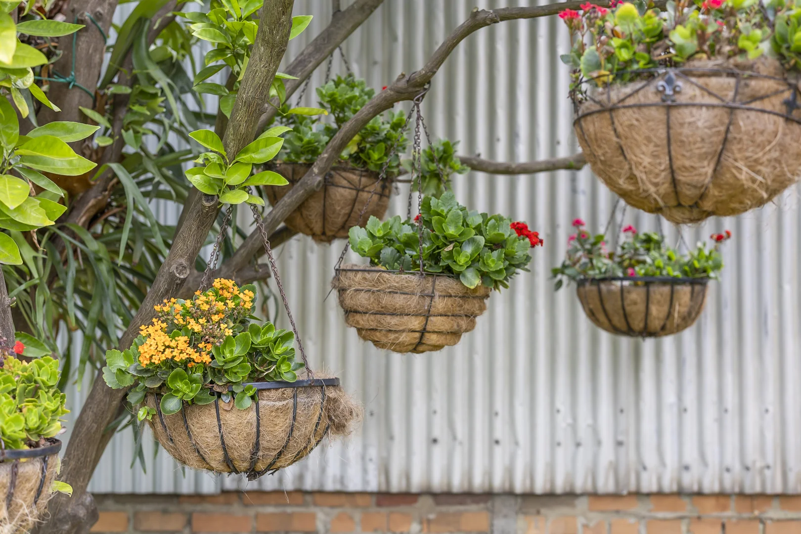 Additional image 24 of 4 Great Ocean Road, Anglesea VIC 3230