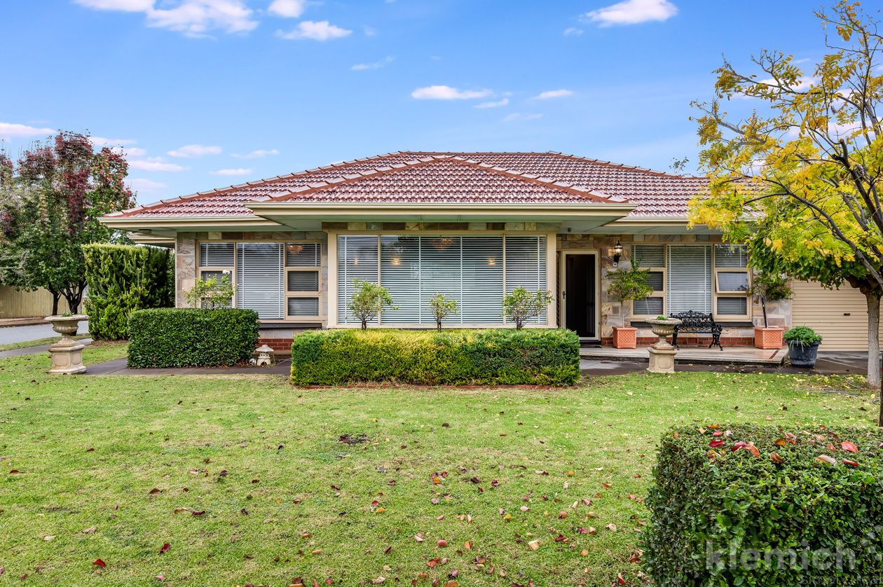 14 Barker Avenue, South Plympton SA 5038, Image 1