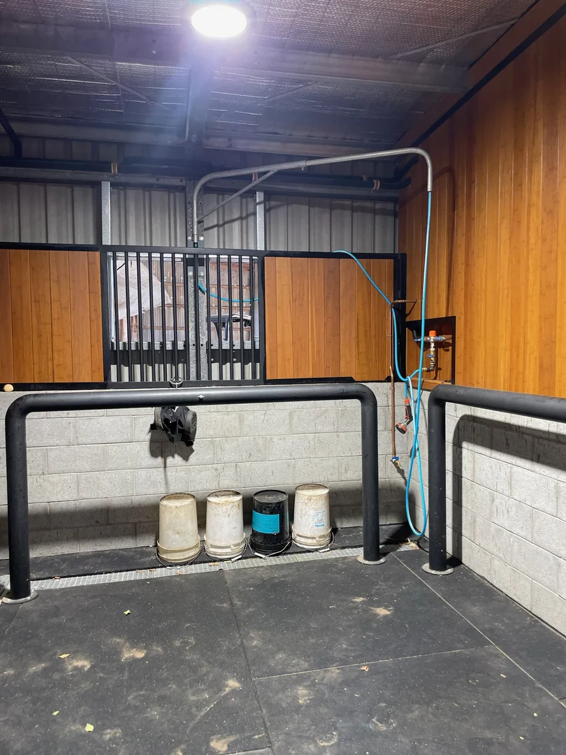 Additional image 24 of Wallalong NSW 2320