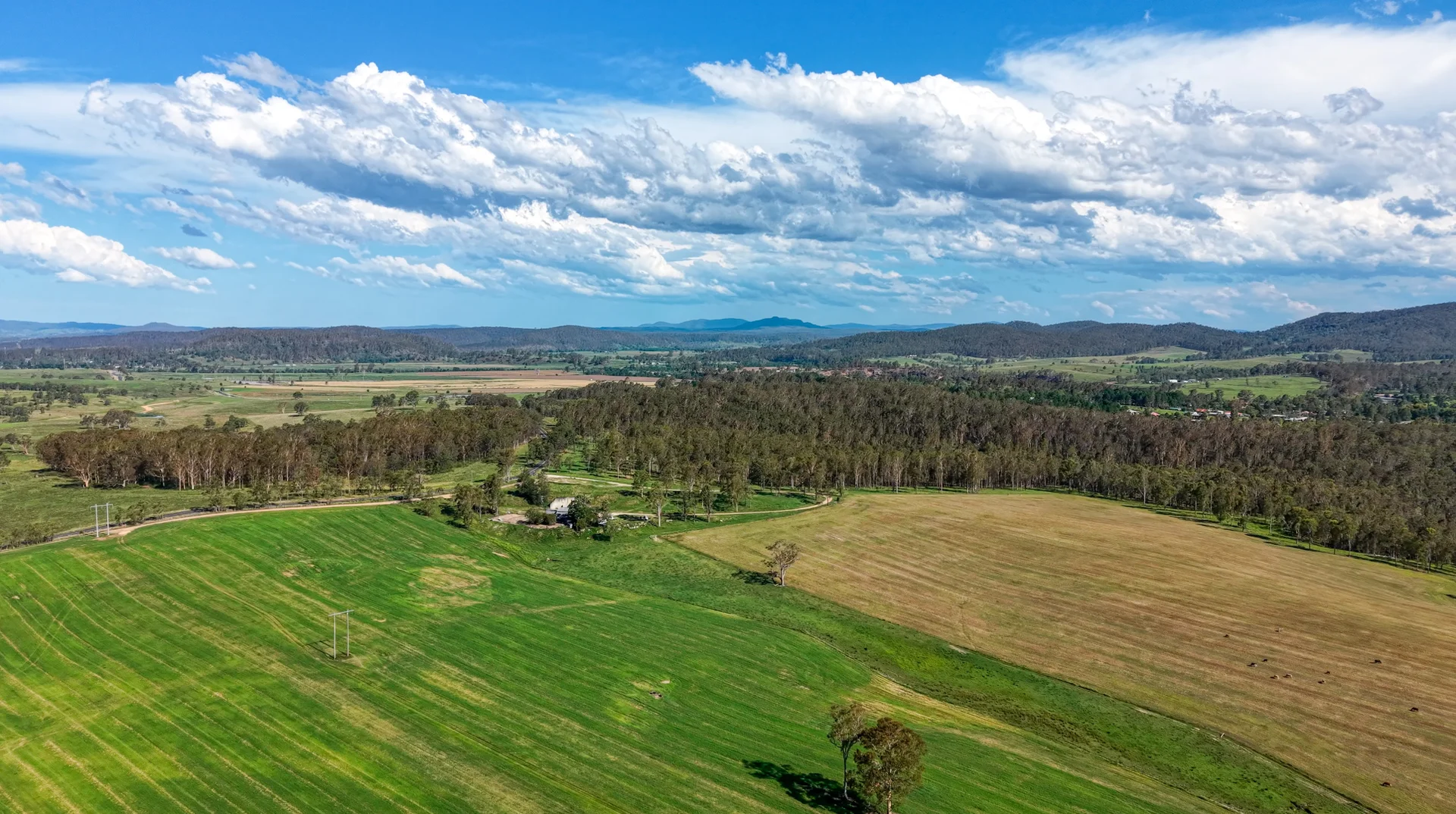 Additional image 16 of 119 Paddys Flat Road, Tabulam NSW 2469