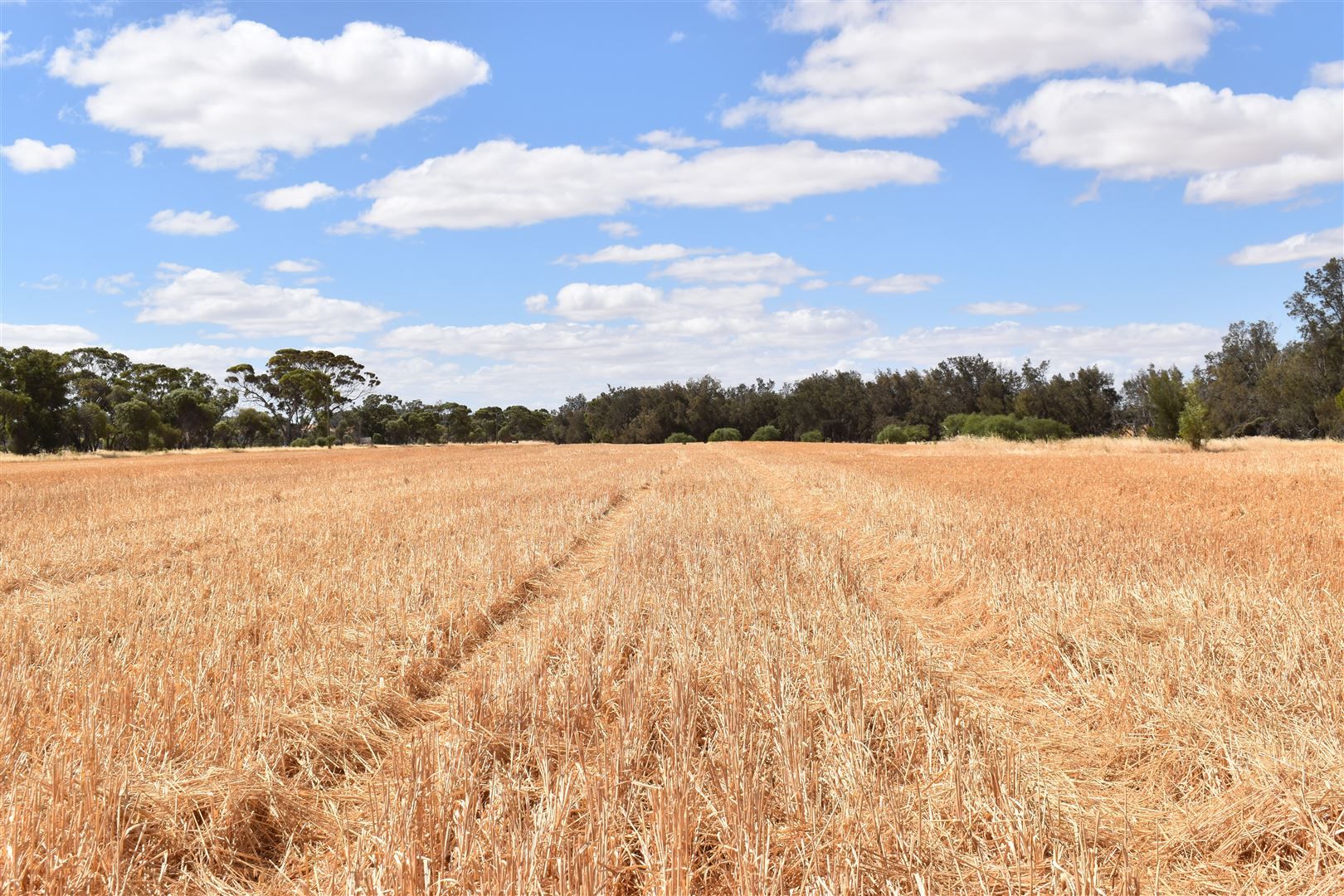 ' Baileys ', Woodanilling WA 6316, Image 0