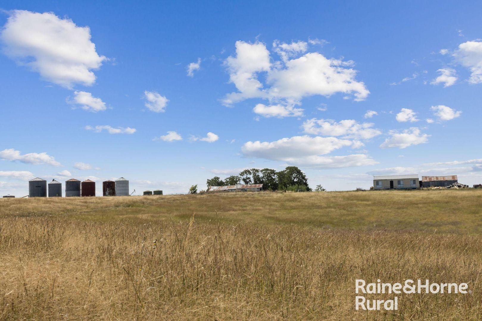 714 Murringo Road, Boorowa NSW 2586, Image 2