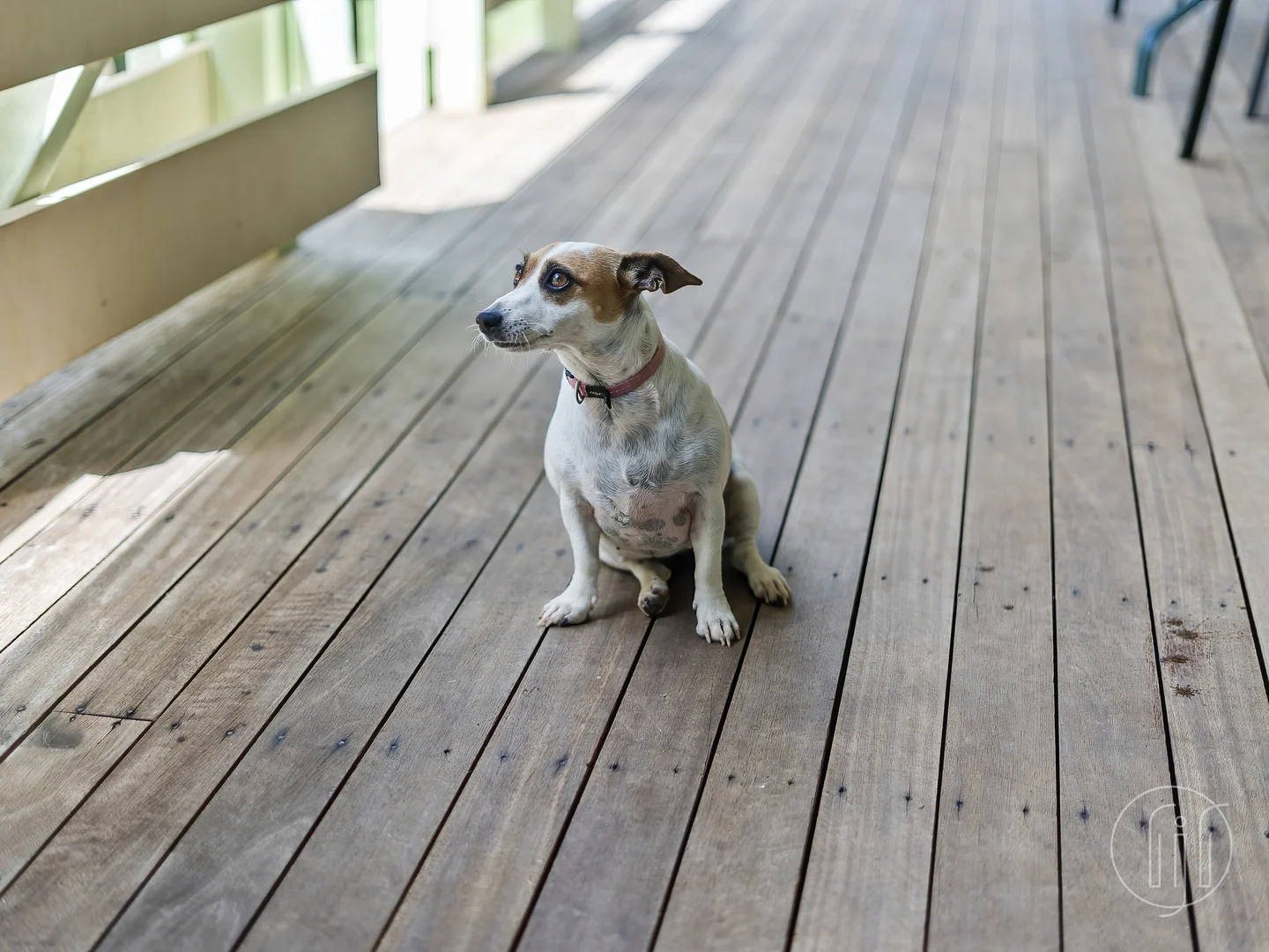 Additional image 17 of 62 Greenoak Road, Kandanga QLD 4570