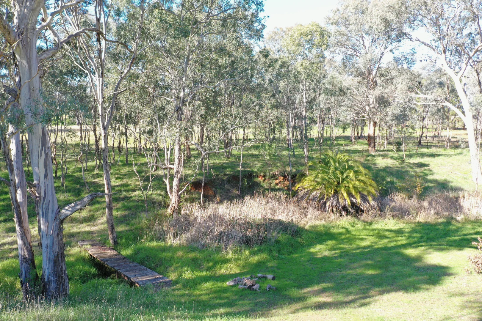 Image 13