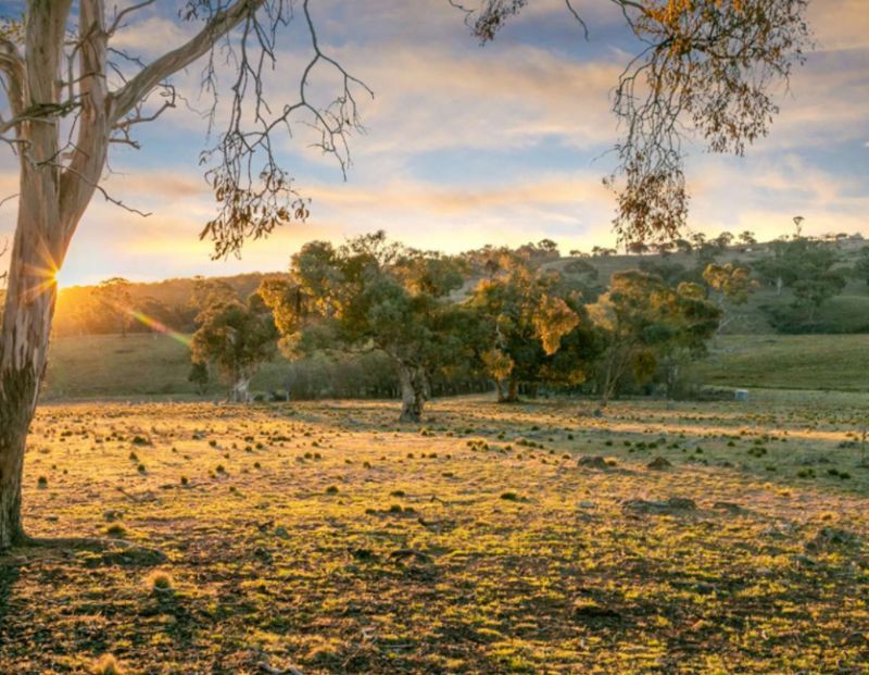 Vacant land in Lot 16 Gorge Creek Road, GOOGONG NSW, 2620