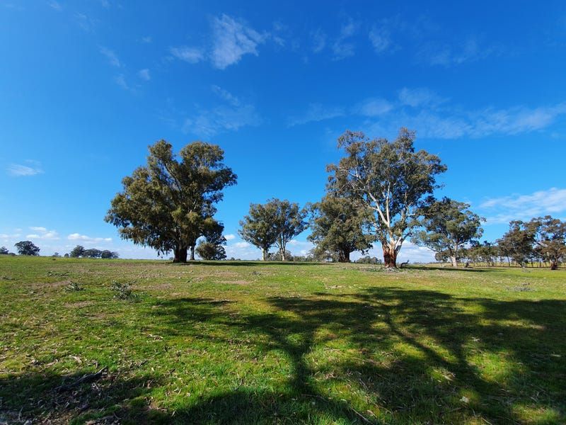 Lot 1 54 Days Road, Bailieston VIC 3608, Image 1