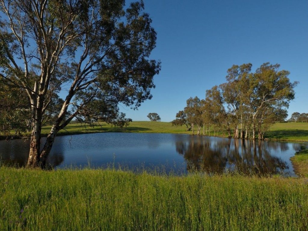 Lot 14/299 Collins Road, Tungkillo SA 5236, Image 1