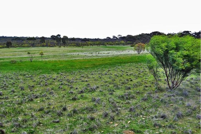 Picture of Lot 1 Wedderburn-Wychitella Road, BUCKRABANYULE VIC 3525