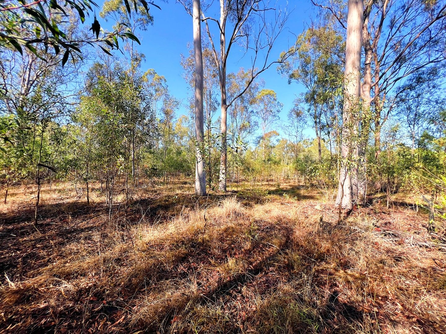 Lot 11, 134 Kent Tobin Road, Maroondan QLD 4671, Image 1