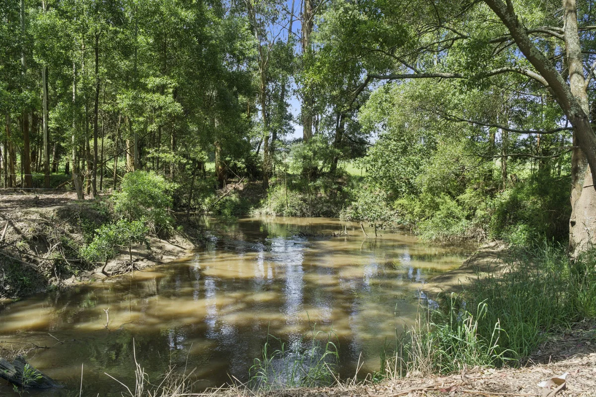 Image 30